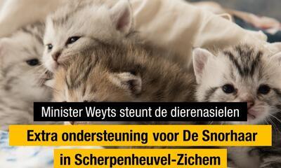 Ook dit jaar financiële steun voor dierenasiel in Scherpenheuvel-Zichem